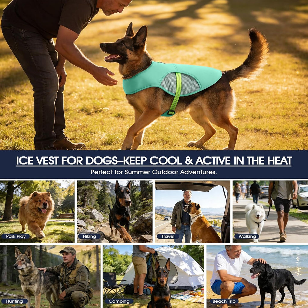 Cooling Vest for Dogs, Summer Cooling Vest with Adjustable Fit & D-Ring